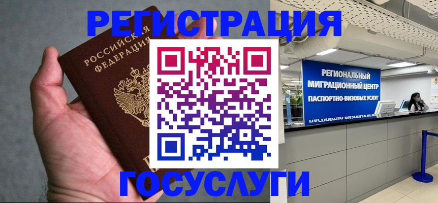 прописка поиск в Сальске